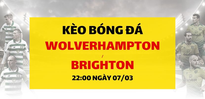 Soi kèo: Wolverhampton - Brighton & Hove Albion (22h00 ngày 07/03)